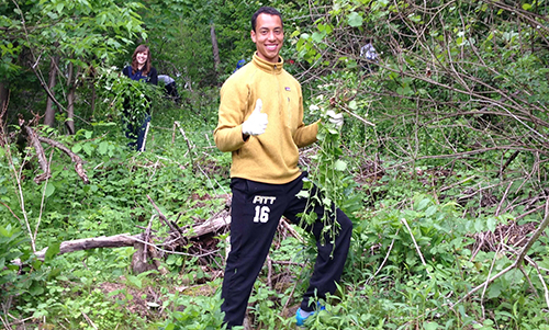 student weeding out invasive plants in Frick Park 