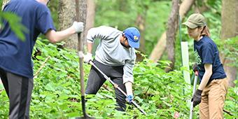 summer research participants clear invasive vegitation and plant native trees and shrubs