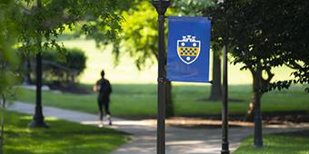 Pitt banner on walkway surrounded by green leaves